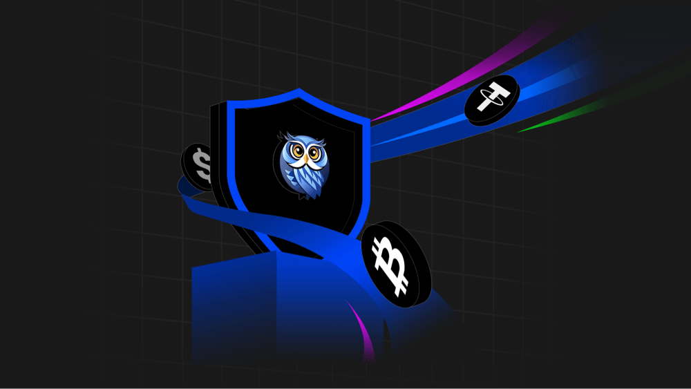 HootArk security built into browser by default